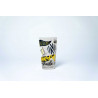 NSC 16oz Native Pint Glass 