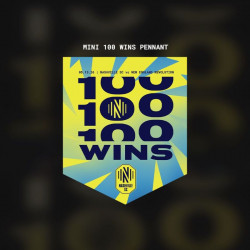 Nasvhille SC 100 Wins Commemorative Mini Pennant