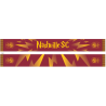NSC Gryffindor Harry Potter Summer Scarf